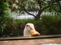 Photo[1]
