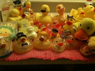 Photo[2]