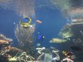Photo[1]