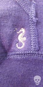 Seahorse