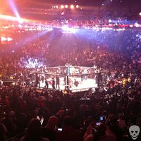 Fight