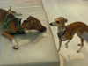 Cimg0541_2