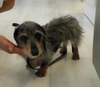Cimg0551_3