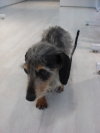 Cimg0554_2
