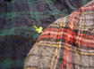 Lyle_and_scott_close