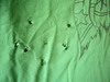 Parbelle_01
