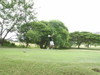 R0010893_3
