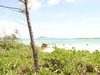 R0010905