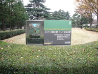 Rousseau_3