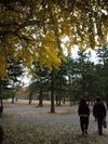 Rousseau_3_1