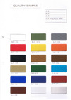 Samplecplor
