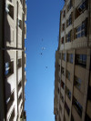 Sky_1